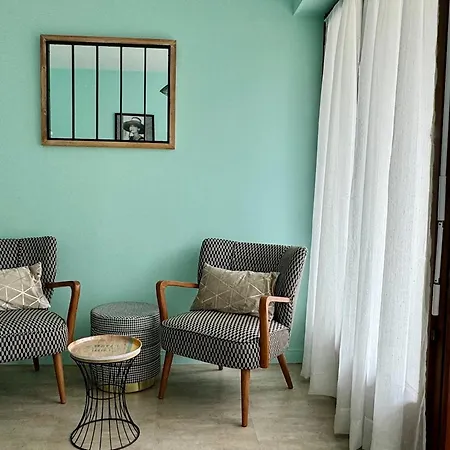 Lägenhet Lumineux Et Fonctionnel A Aix-les-bains, Animaux Admis - Fr-1-555-10 *