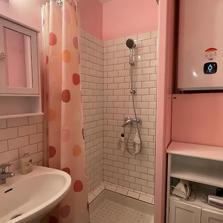 Lumineux Et Fonctionnel A Aix-les-bains, Animaux Admis Apartment *