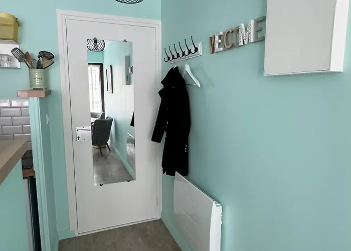 アパート Lumineux Et Fonctionnel A Aix-les-bains, Animaux Admis - Fr-1-555-10 *