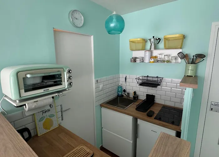 Lumineux Et Fonctionnel A Aix-les-bains, Animaux Admis - Fr-1-555-10 アパート