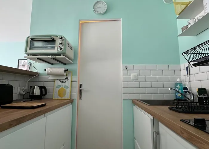 Lumineux Et Fonctionnel A Aix-les-bains, Animaux Admis - Fr-1-555-10 アパート *