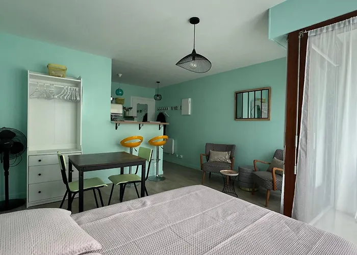 Lumineux Et Fonctionnel A Aix-les-bains, Animaux Admis - Fr-1-555-10 *