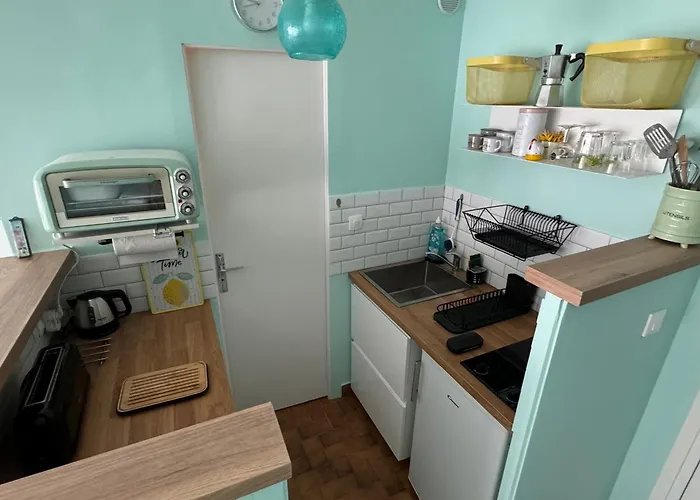 Lumineux Et Fonctionnel A Aix-les-bains, Animaux Admis - Fr-1-555-10 * エクスレバン