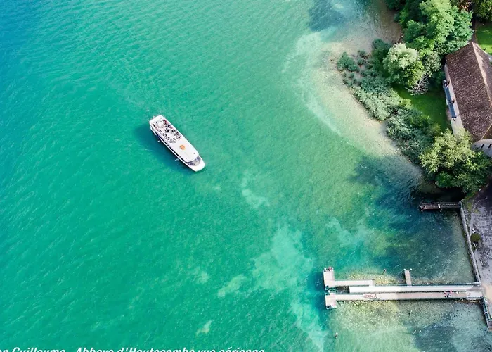 Lumineux Et Fonctionnel A Aix-les-bains, Animaux Admis - Fr-1-555-10