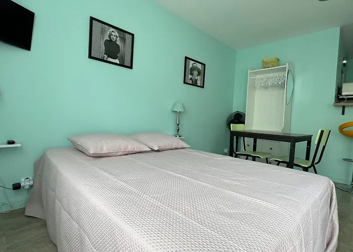 Lumineux Et Fonctionnel A Aix-les-bains, Animaux Admis - Fr-1-555-10 エクスレバン