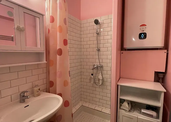 Lumineux Et Fonctionnel A Aix-les-bains, Animaux Admis - Fr-1-555-10 アパート *